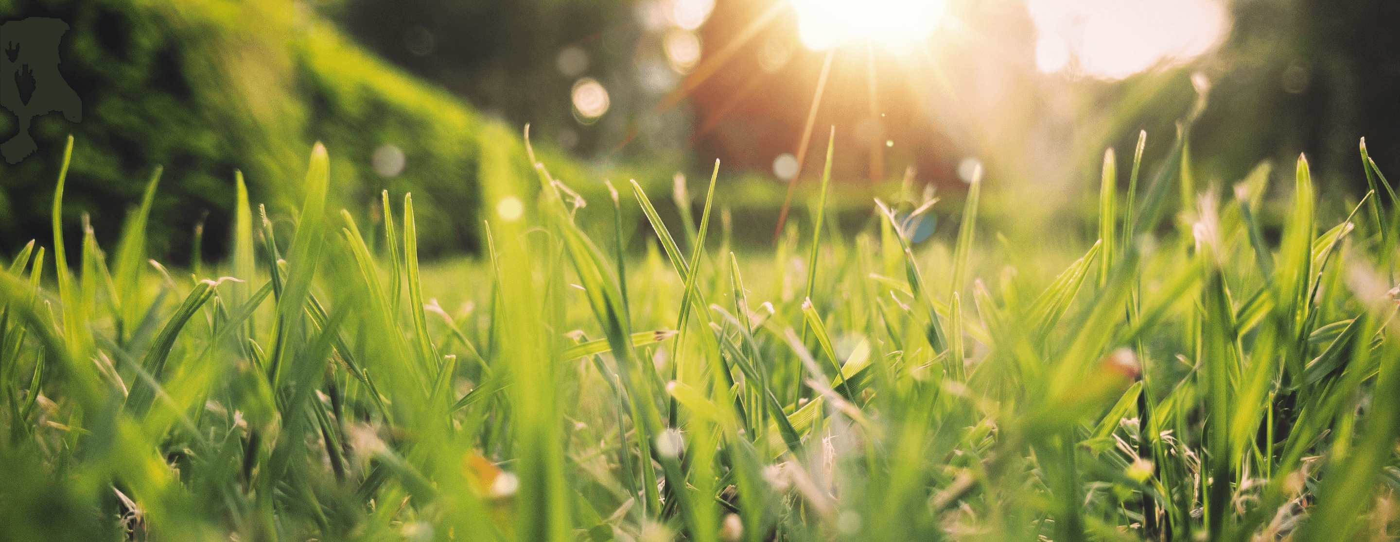 WordPress blog image - 8ProgramsForSpring-FeatureImg_2x.png