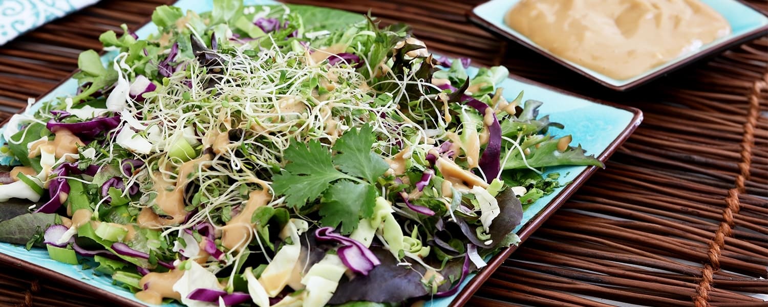 WordPress blog image - asiansalad.jpg