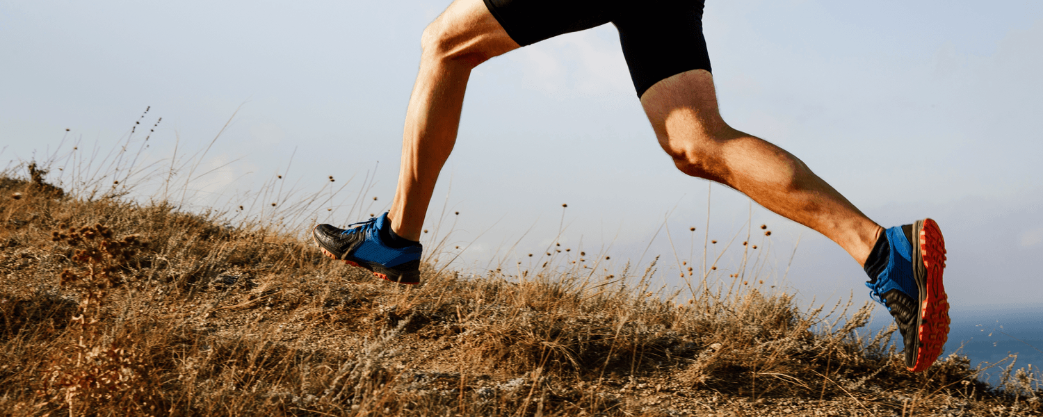 WordPress blog image - blog_banner_hills.png