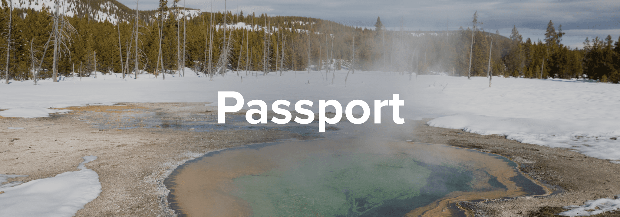 WordPress blog image - DEC_FeaturedImage-1024x329-1.png