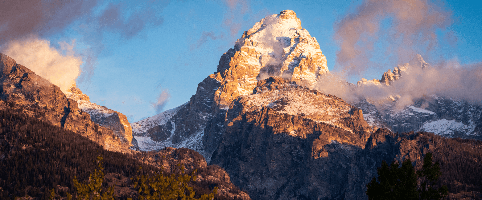 WordPress blog image - P2Ppt5-Tread_HannahE_FeaturedImg.png