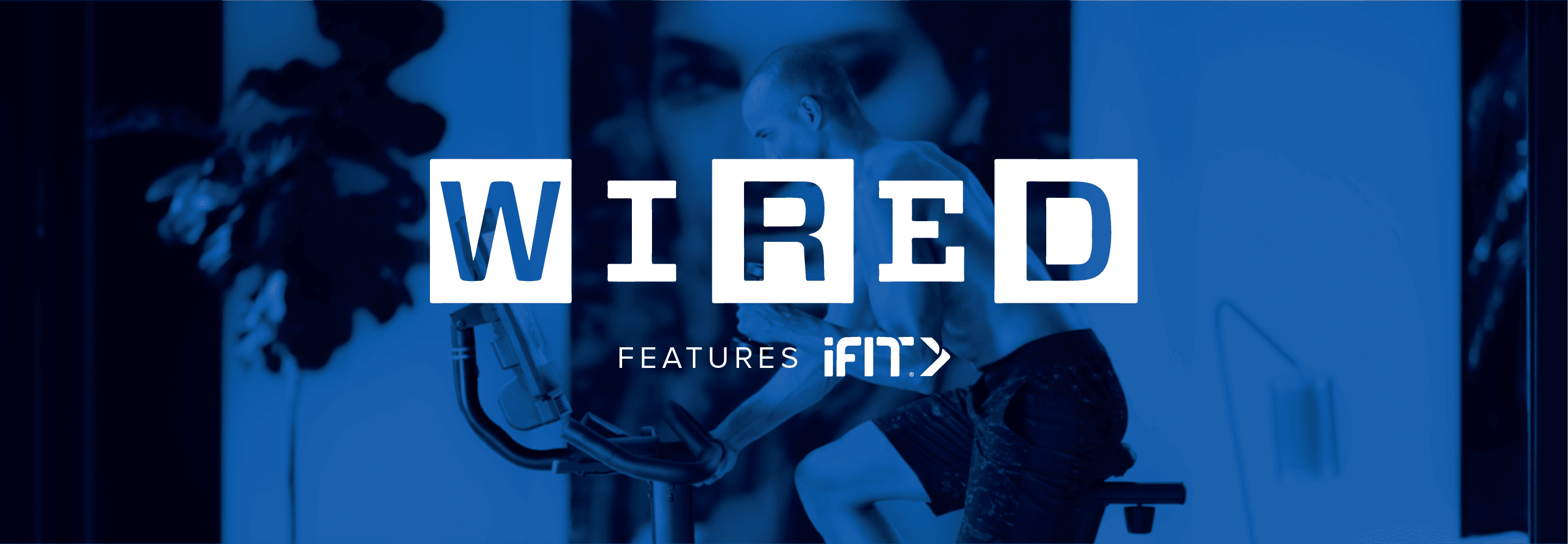 WordPress blog image - Artboard-1-copy-9@2x.png