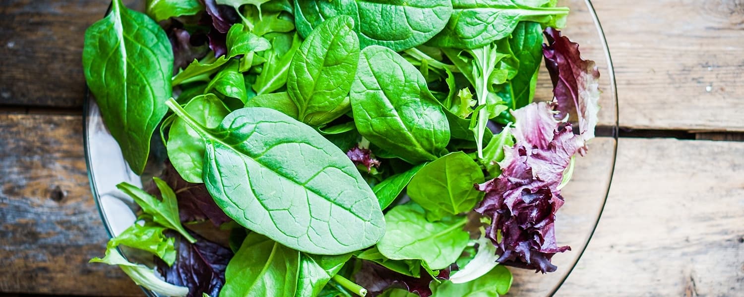 WordPress blog image - Lazy-persons-guide-to-a-healthy-diet.jpg