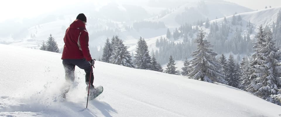 WordPress blog image - snow-blog.jpg