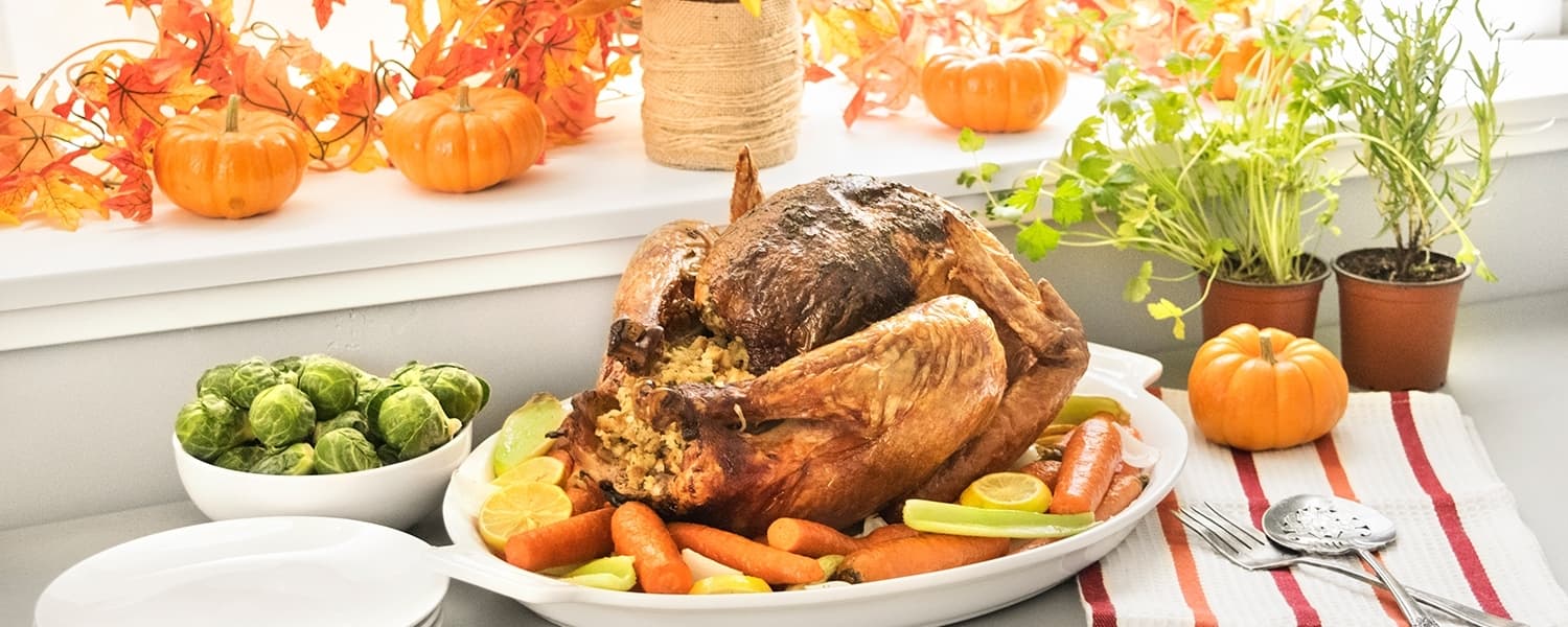 WordPress blog image - lemontarragonturkey.jpg